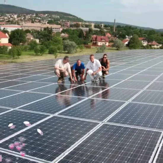 Traqueur solaire Systsme de suivi du soleil à axe unique à faible coût pour panneau solaire