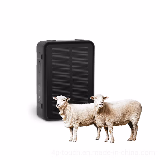 Traqueur GPS de charge solaire 4G LTE étanche IP67 de haute qualité pour les bovins de vache ovine avec une grande capacité de batterie de 9000 mAh V44